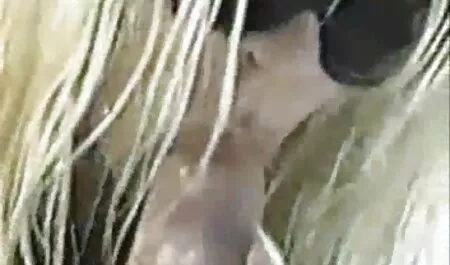 Hombre con cara xxx amateur latino inundada con vidrio en vestidos blancos después mamada