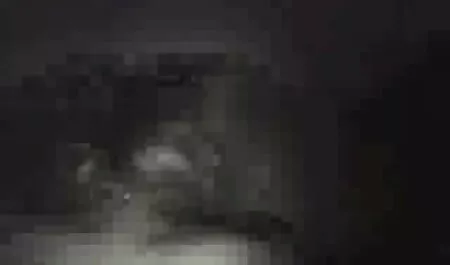 Los ladrones se follan los deseos sexo entre hermanos latinos del bebé.